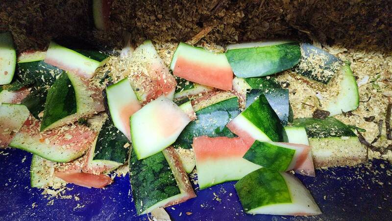 นักวิจัย ม.นครพนม ต่อยอดนวัตกรรม “เครื่องลดมวลขยะอินทรีย์” ช่วยจัดการขยะครัวเรือน ลดกลิ่น ลดความถี่การเก็บขนขยะ ทดลองนำร่อง 6 จุด ในพื้นที่ ต.ท่าค้อ อ.เมือง จ.นครพนม