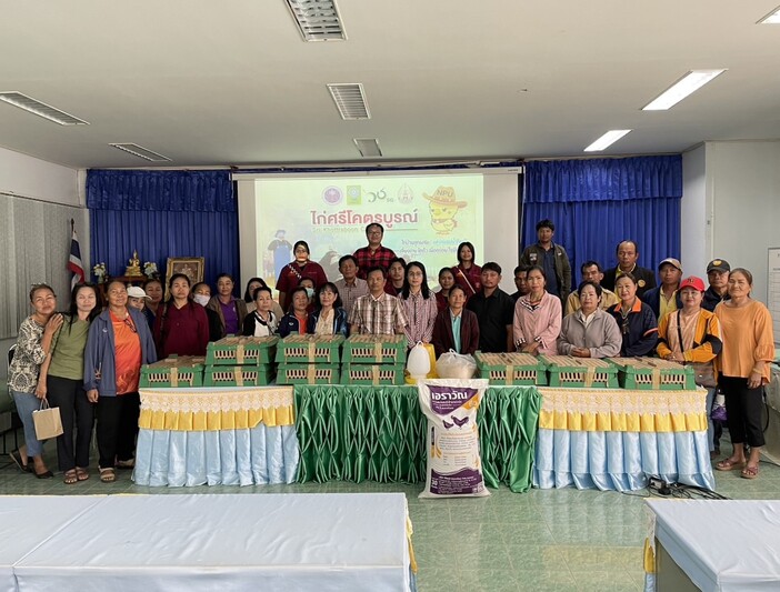 ม.นครพนม พัฒนาไก่พันธุ์ลูกผสมพื้นเมือง ‘ศรีโคตรบูรณ์’ เพิ่มทางเลือกให้เกษตรกร