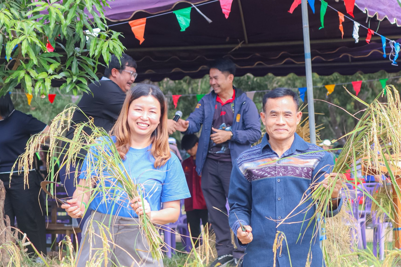 “ลงแขกเกี่ยวข้าว” สืบสานวิถีพอเพียง ปลูกฝังวินัย ฟื้นฟูจิตใจนักศึกษาผู้ต้องขัง