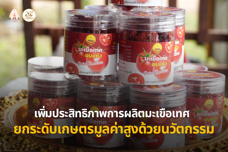 วิทยาลัยธาตุพนม จัดอบรมเพิ่มประสิทธิภาพการผลิตมะเขือเทศ ยกระดับเกษตรมูลค่าสูงด้วยเทคโนโลยีและนวัตกรรม